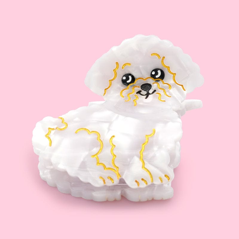POMERANIAN BICHON FRISE HUND HAAR KLAUE