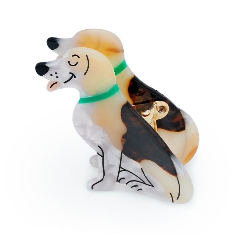BEAGLE HUND HAAR KLAUE