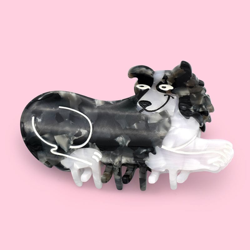 Border Collie Hund Kralle