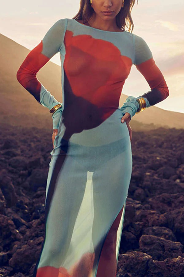 Mesh-Maxikleid mit Blumendruck, Rundhalsausschnitt, langen Ärmeln und Stretch