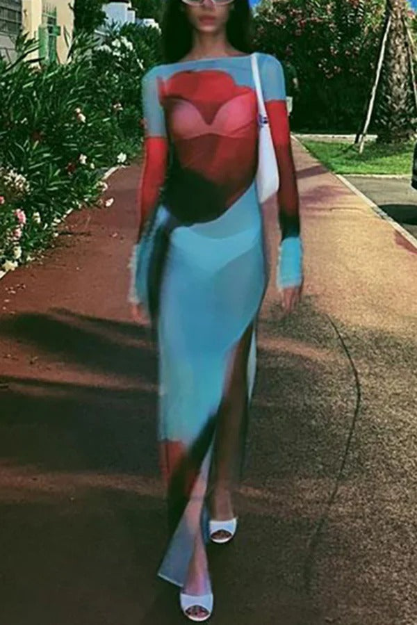 Mesh-Maxikleid mit Blumendruck, Rundhalsausschnitt, langen Ärmeln und Stretch