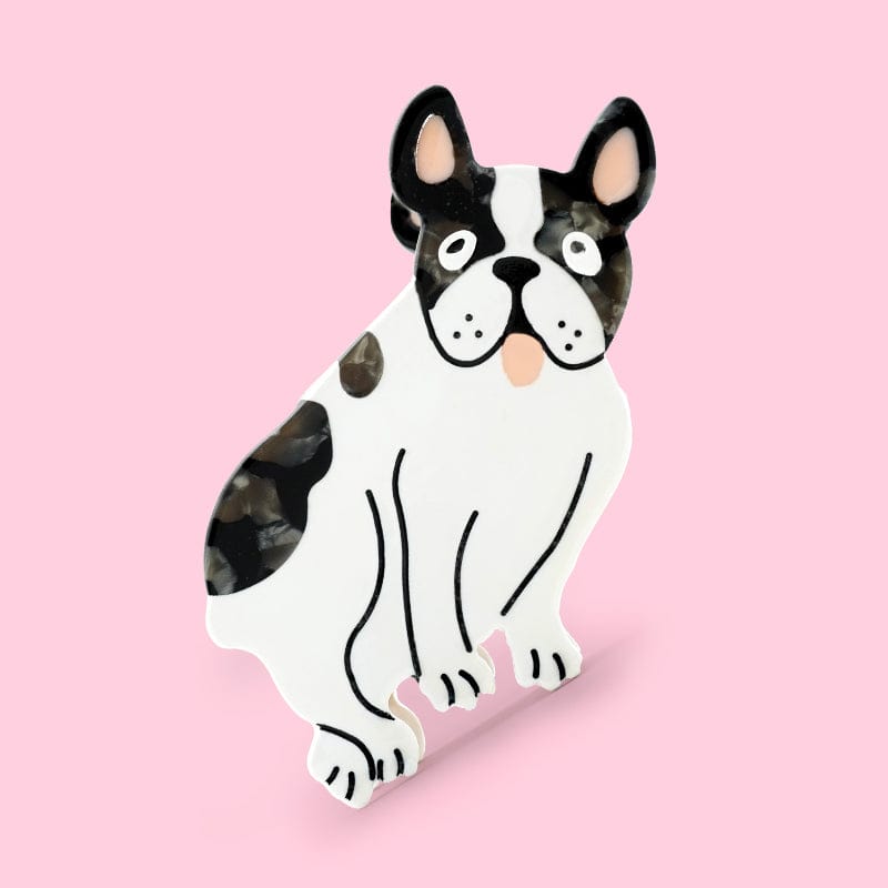 BOULEDOGUE FRANÇAIS PIT BULL POIL GRIFFE PITBULL