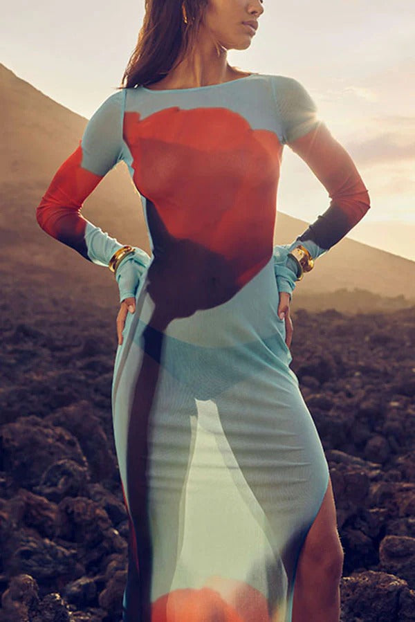 Mesh-Maxikleid mit Blumendruck, Rundhalsausschnitt, langen Ärmeln und Stretch