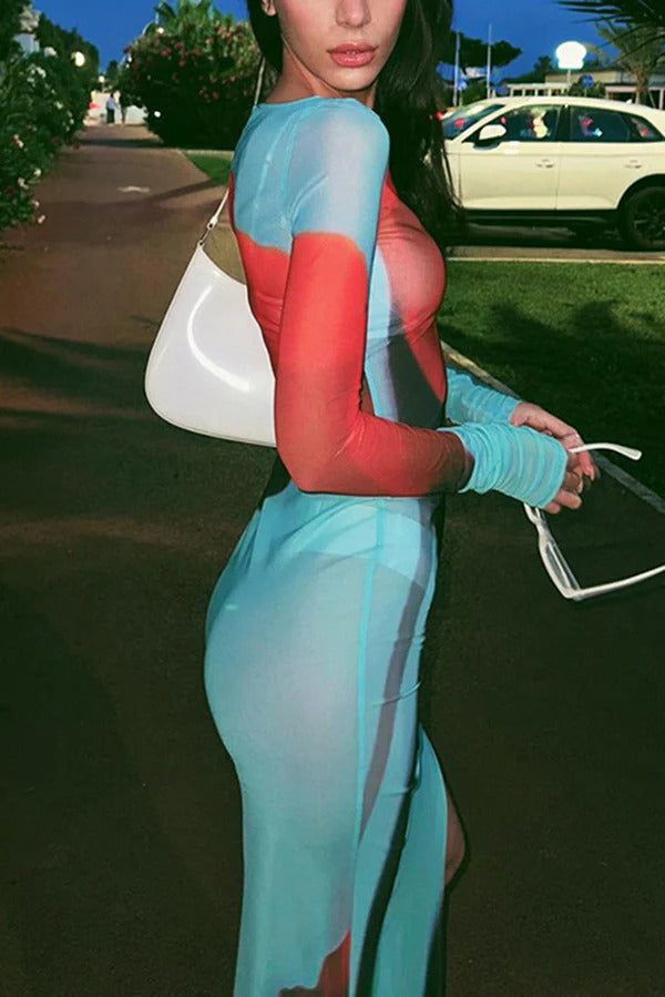 Mesh-Maxikleid mit Blumendruck, Rundhalsausschnitt, langen Ärmeln und Stretch