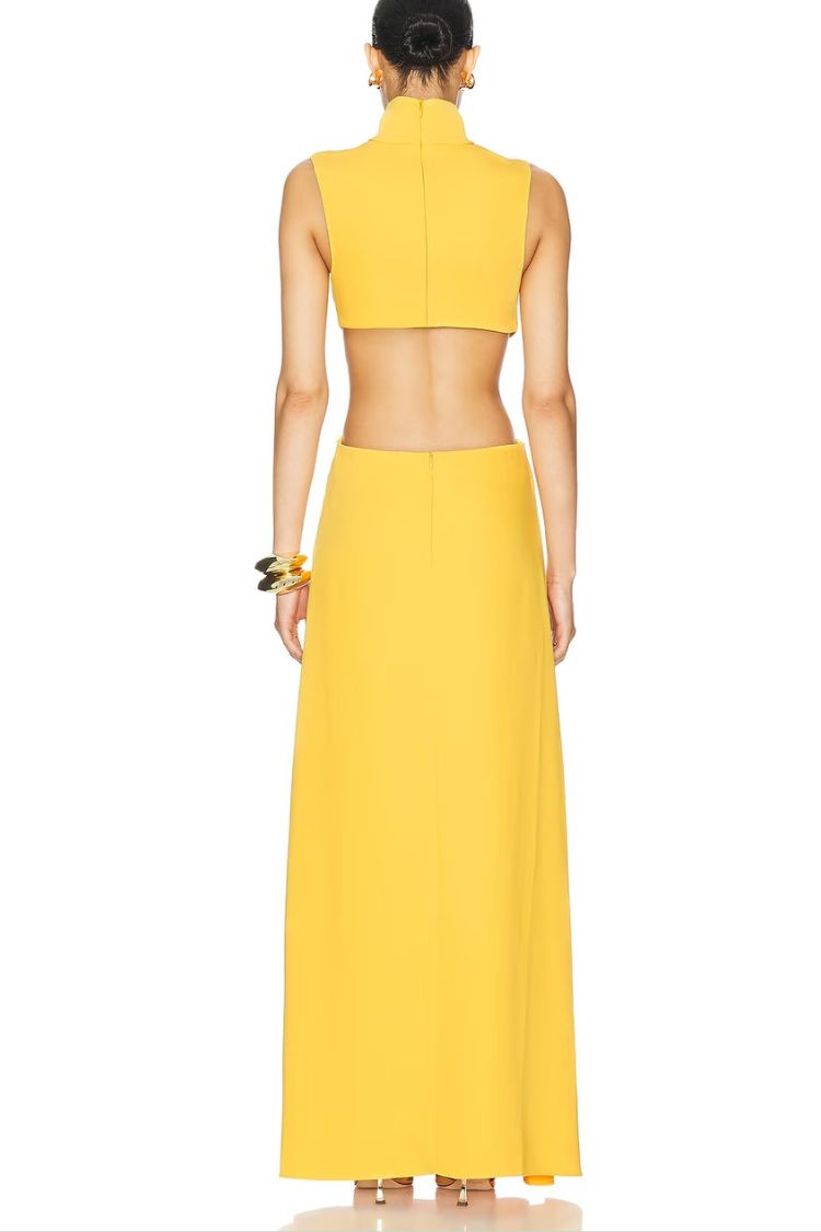 Avery Maxikleid mit hohem Halsausschnitt und Metallverzierung und Cut-Out-Taille