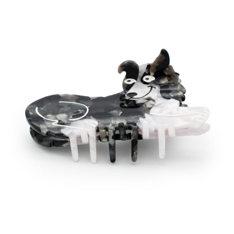 Border Collie Hund Kralle
