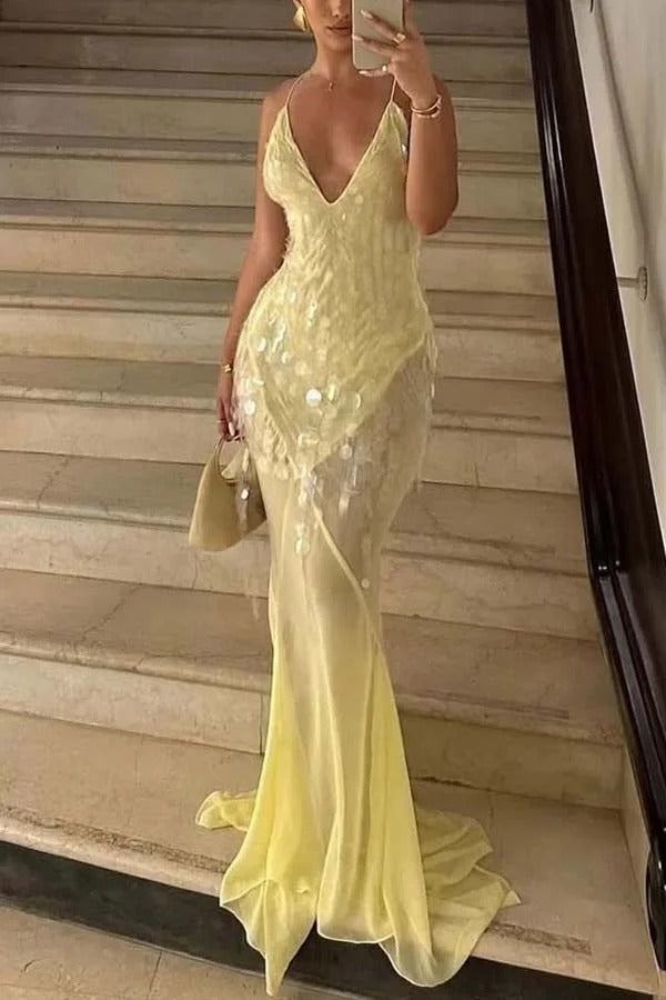 Perfect Night Sequin Embroidery Backless Drape Tulle Hem Slip Maxi Dress