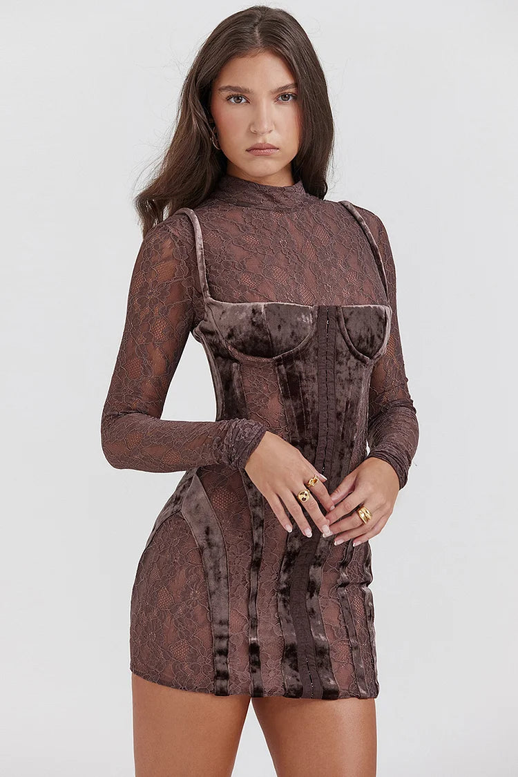 Velvet Patchwork Embroidery See Through Long Sleeve Bodycon Mini Dresses-Brown