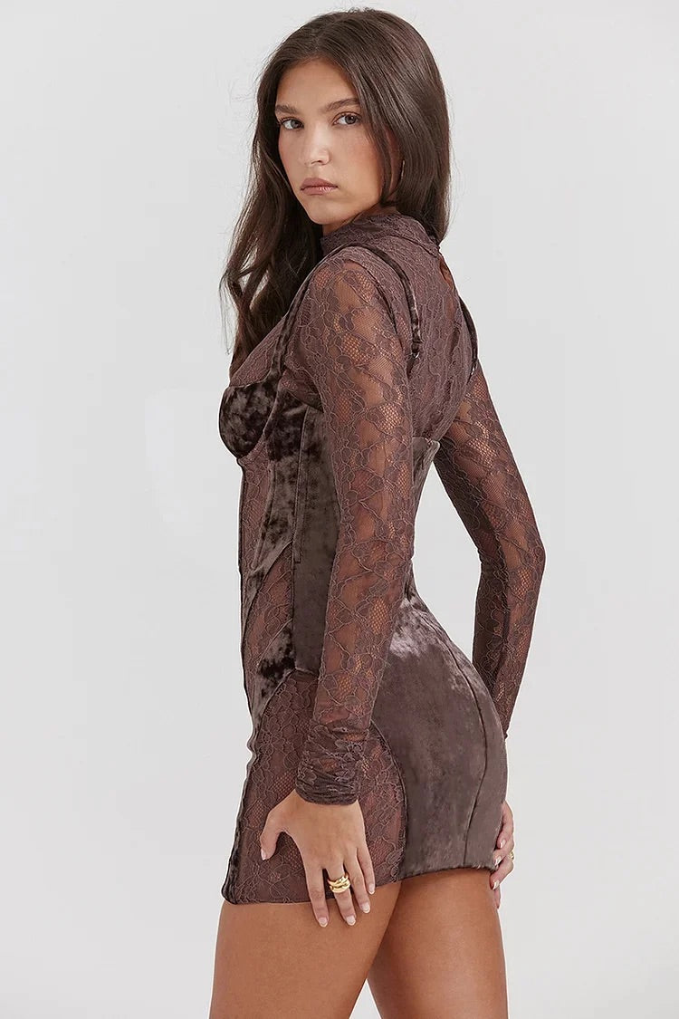 Velvet Patchwork Embroidery See Through Long Sleeve Bodycon Mini Dresses-Brown