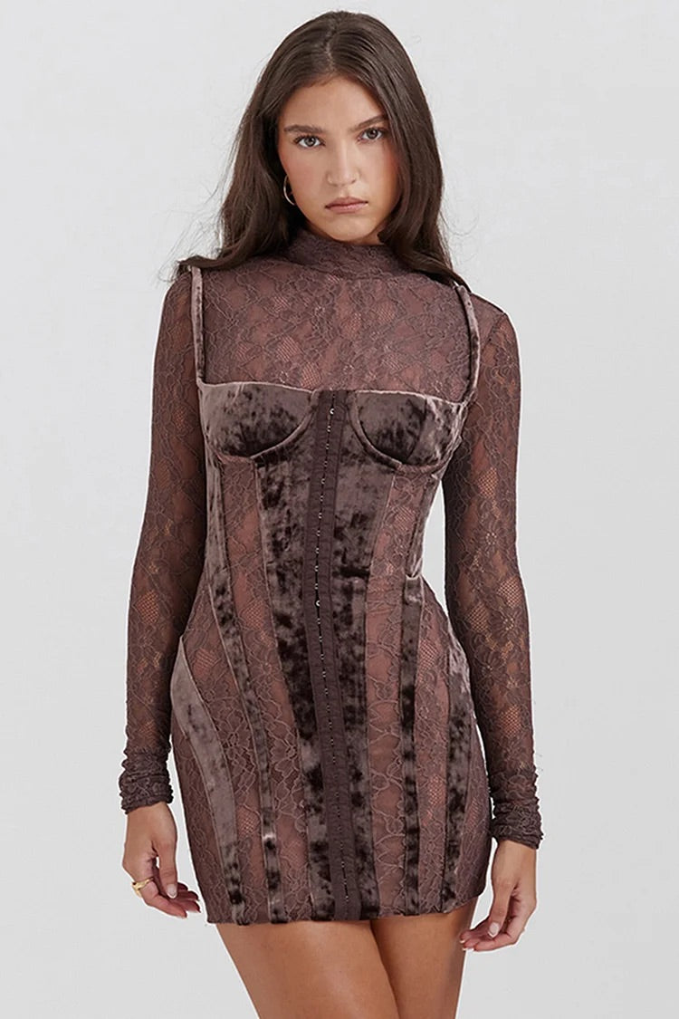 Velvet Patchwork Embroidery See Through Long Sleeve Bodycon Mini Dresses-Brown